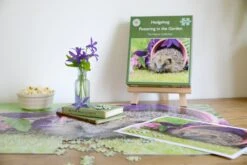 Hedgehog Pottering In The Garden 1000 Piece Jigsaw 16 Hedgehog Pottering In The Garden 1000 Piece Jigsaw -All Jigsaw Puzzles 1d4d56c0 5609 4ae4 b2c0 9a1972bd1b86