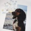 Personalised 200 Piece Photo Jigsaw -All Jigsaw Puzzles 200 dog 11