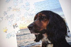 Personalised 200 Piece Photo Jigsaw -All Jigsaw Puzzles 200 dog 6