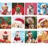 Eurographics Christmas Paws - Advent Calendar 24 50 Piece Jigsaw Puzzles