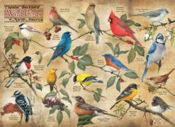 Popular Backyard Wild Birds Of North America 1000 Piece Jigsaw Puzzle