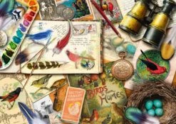 Schmidt Aimee Stewart: Birdwatching 1000 Piece Jigsaw Puzzle