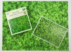 Find The Four Leaf Clover Impuzzible No.44 - 1000 Piece Jigsaw Puzzle -All Jigsaw Puzzles 7eeea67b 5705 4594 b791 bfc107f772a0
