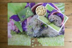 Hedgehog Pottering In The Garden 1000 Piece Jigsaw 18 Hedgehog Pottering In The Garden 1000 Piece Jigsaw -All Jigsaw Puzzles 95b7ec37 990c 4649 a983 f060963439d3