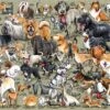 It's Just... Dogs! 1000 Piece Jigsaw Puzzle