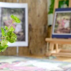 The Three Tom Boys 1000 Piece Jigsaw Puzzle -All Jigsaw Puzzles DSC4796