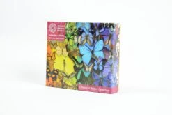 Natural History Museum - Butterflies & Moths 1000 Piece Jigsaw Puzzle -All Jigsaw Puzzles DSC5004