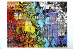 Natural History Museum - Butterflies & Moths 1000 Piece Jigsaw Puzzle -All Jigsaw Puzzles DSC5027