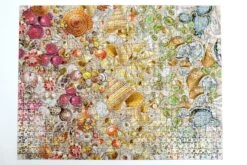 Natural History Museum - Shells 1000 Piece Jigsaw Puzzle -All Jigsaw Puzzles DSC5040copy