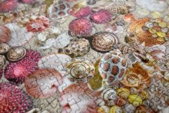 Natural History Museum - Shells 1000 Piece Jigsaw Puzzle -All Jigsaw Puzzles DSC5043copy