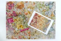 Natural History Museum - Shells 1000 Piece Jigsaw Puzzle -All Jigsaw Puzzles DSC5044copy