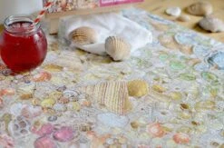 Natural History Museum - Shells 1000 Piece Jigsaw Puzzle -All Jigsaw Puzzles DSC5062