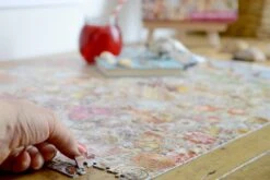 Natural History Museum - Shells 1000 Piece Jigsaw Puzzle -All Jigsaw Puzzles DSC5075