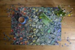 Natural History Museum - Beetles 1000 Piece Jigsaw Puzzle -All Jigsaw Puzzles DSC5094