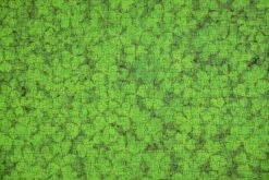 Find The Four Leaf Clover Impuzzible No.44 - 1000 Piece Jigsaw Puzzle -All Jigsaw Puzzles DSC6023wr
