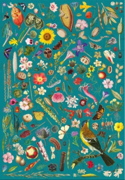 Gibsons RHS: Floral Fantasy 500 Piece Jigsaw Puzzle