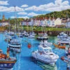 Gibsons Aberaeron, Cardigan Bay 1000 Piece Jigsaw Puzzle