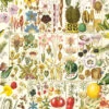 Gibsons RHS: Botanical Bliss 1000 Piece Jigsaw Puzzle
