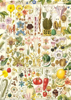 Gibsons RHS: Botanical Bliss 1000 Piece Jigsaw Puzzle