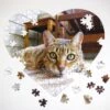 Personalised Heart Shaped Photo 201 Piece Jigsaw Puzzle -All Jigsaw Puzzles Heart Cat 9copy