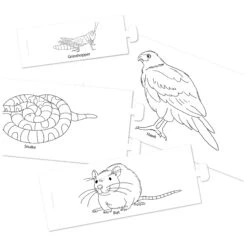 Jumbo Natural History Museum Let's Learn Animals Activity Pack -All Jigsaw Puzzles acfbbebf 208b 4cbd 94a7 cfca0eb72bb0