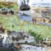 Imperial War Museums D-Day 1000 Piece Jigsaw Puzzle -All Jigsaw Puzzles ajp imperial war museum d day map 1000 jig AJP13480