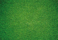 Natural Grass - Impuzzible No.7 - 1000 Or 500 Piece Jigsaw Puzzle