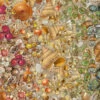 Natural History Museum - Shells 1000 Piece Jigsaw Puzzle -All Jigsaw Puzzles ajp natural history museum shells 1000 jig AJP13417