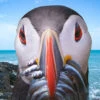 We Shall Have A Fishy (Puffin) 1000 Piece Jigsaw