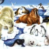 Wild Arctic 1000 Piece Jigsaw Puzzle 1 Wild Arctic 1000 Piece Jigsaw Puzzle -All Jigsaw Puzzles ajp wild arctic 1000 jig AJP13577 fd86ae61 8a03 485f a59a 2059a2c43607