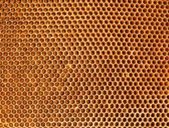 In The Hive - Impuzzible No. 20 - 1000 Piece Jigsaw Puzzle