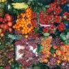 Summer Fruit 1000 Piece Jigsaw Puzzle -All Jigsaw Puzzles bd1000a2 1618 4edf a0b0 fa2b05c20205