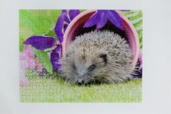Hedgehog Pottering In The Garden 1000 Piece Jigsaw 13 Hedgehog Pottering In The Garden 1000 Piece Jigsaw -All Jigsaw Puzzles cf937dd1 106f 4009 8db8 8e886667070c