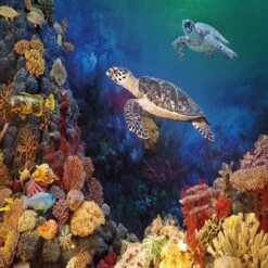 Tropical Turtles 1000 Piece Jigsaw Puzzle