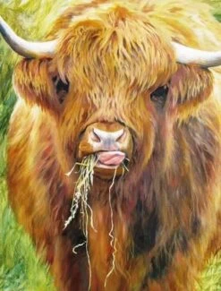 Highland Cow, 1000 Piece Jigsaw Puzzle