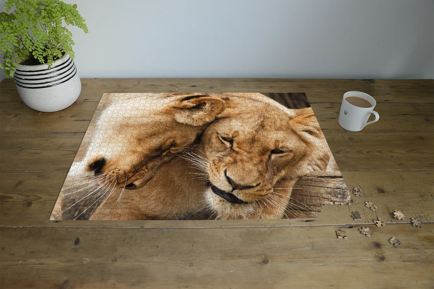 Lioness 1000 Piece Jigsaw Puzzle 5 Lioness 1000 Piece Jigsaw Puzzle - Image 3